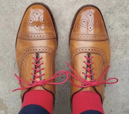 New Mens Coloured Thin Shoe laces 70cm 95cm Long For Shoes Leather Brogues Boots - Picture 14 of 24