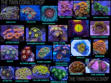 You Get to Choose 10 Zoanthid Frag Pack | Zoa Live Coral + Freebie Frag