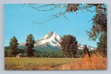 Mount Hood Oregon OR scenic view from a Hood Valley Ranch Vtg Postcard