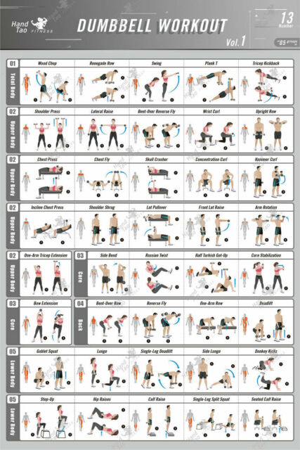 Bowflex Dumbbell Workout Chart