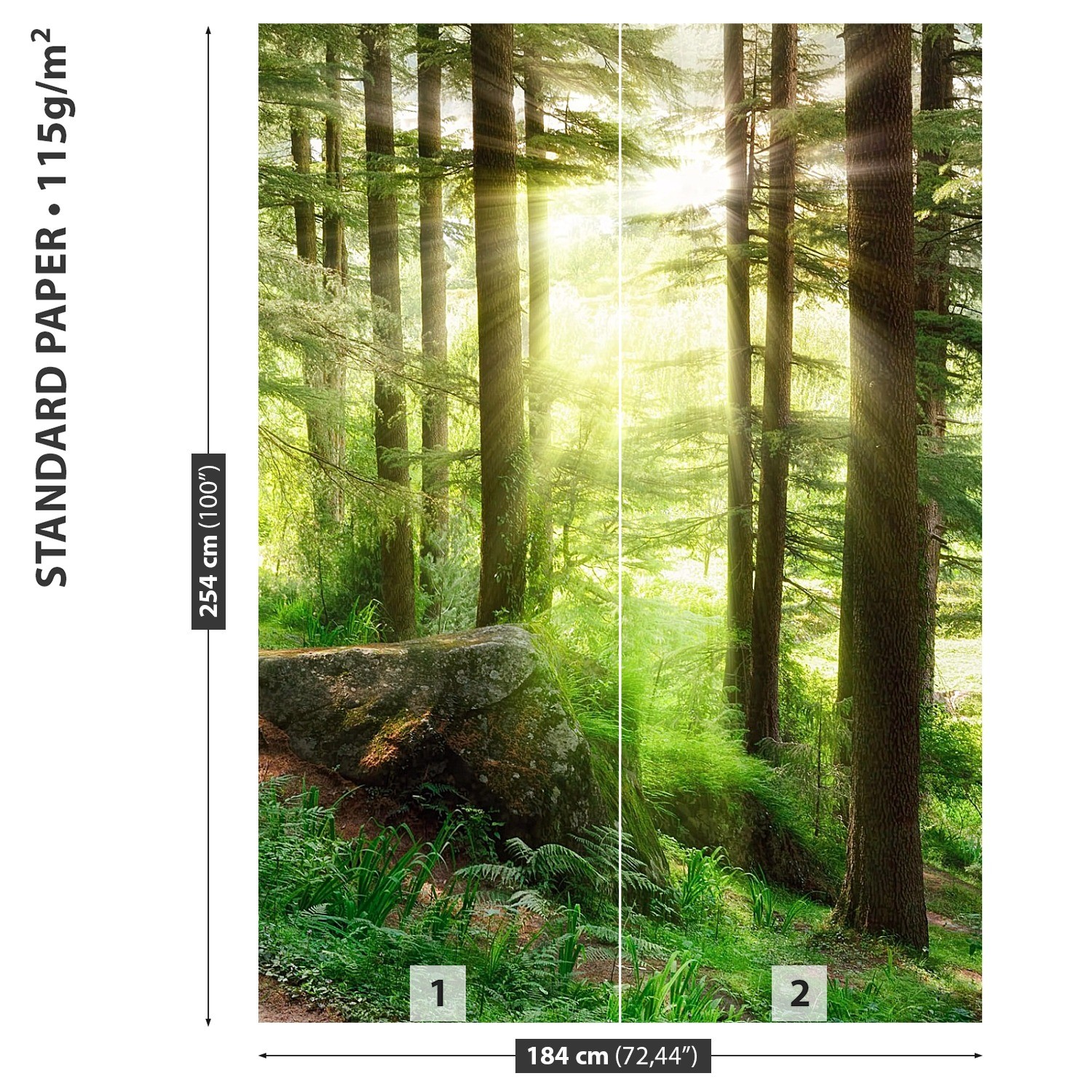 Papier-Fototapete Papier-Fototapete Papier-Fototapete Fototapeten Tapete aus Papier Poster Foto Nebelwald 28c848 Papier-Fototapete Papier-Fototapete Papier-Fototapete Fototapeten Tapete aus Papier Poster Foto Nebelwald 28c848