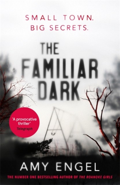 The Familiar Dark-Amy Engel - Image 3