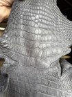 Wild Alligator Gator Belly Leather Professionally Tanned In gray — photo 2