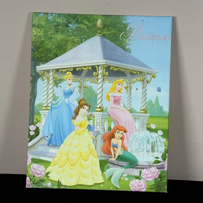 #ad #ad Disney Princess Wall Art Canvas Cinderella Belle Ariel Sleeping Beauty 16 x 20 $19.99