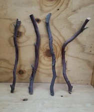 4 Red/grey Manzanita branch 209 Rough Cuts 18"