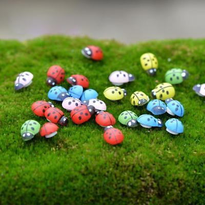 100Pcs Multi-Color Mini Ladybird De Madera Mariquitas Mixta Micro Paisaje Decoración Caliente