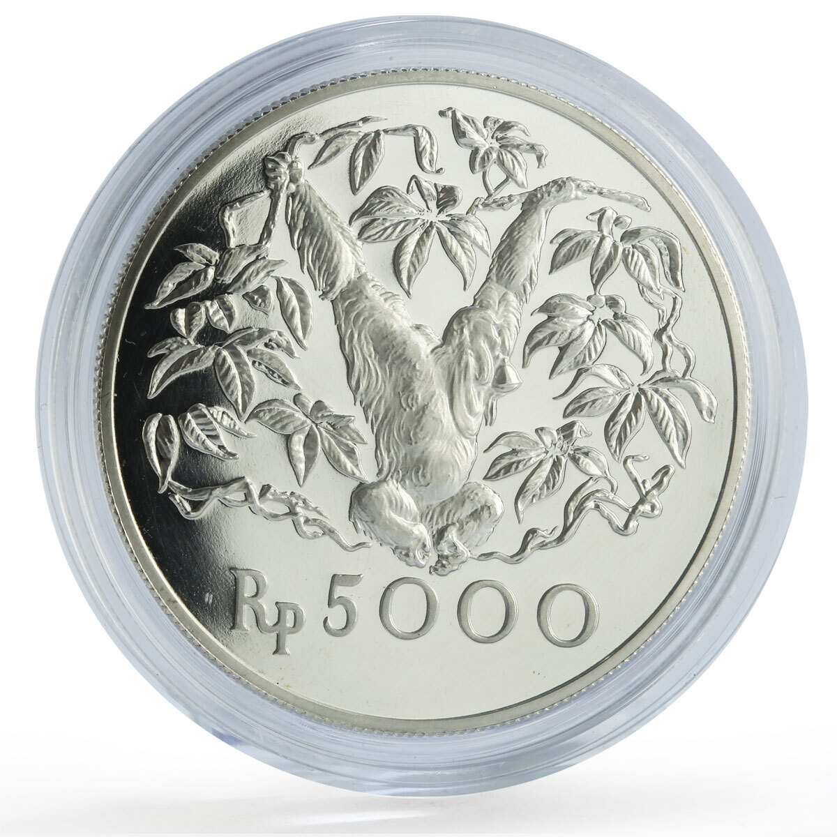 Indonesia 5000 rupiah Conservation Orangutan Monkey Fauna proof