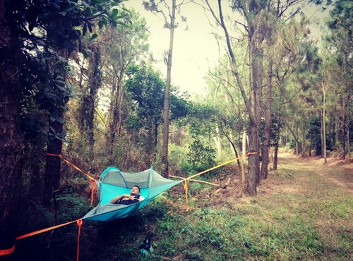 Buy One Person Hanging Tree Tent 