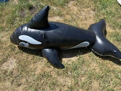 Vintage 1994 Intex The Wet Set #58561 Inflatable Whale RIDE-ON