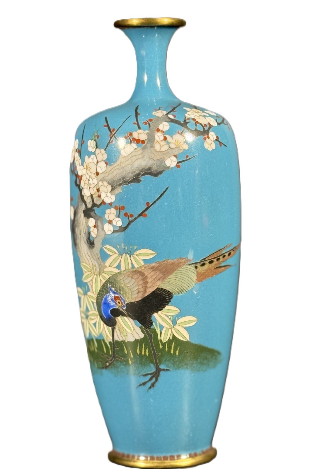 Fine Japanese Meiji Cloisonné Vase – Pheasant & Plum Blossoms on Turquoise Groun