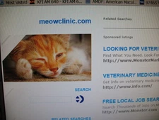 Domain for Sale: meowclinic.com -- PERFECT for the vet in Rochester, Minnesota