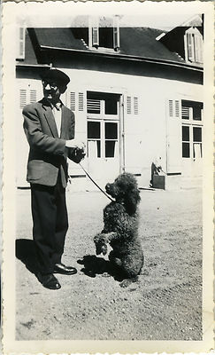 ANTIQUE PHOTO - VINTAGE SNAPSHOT - ANIMAL DOG MAKES BEAUTIFUL FUNNY POODLE -DOG