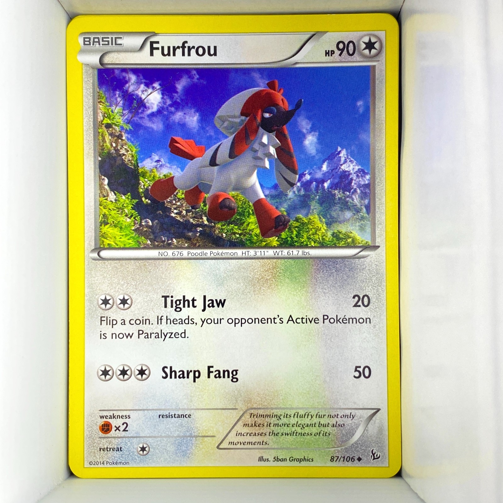 Furfrou 87/106 XY—Flashfire Regular