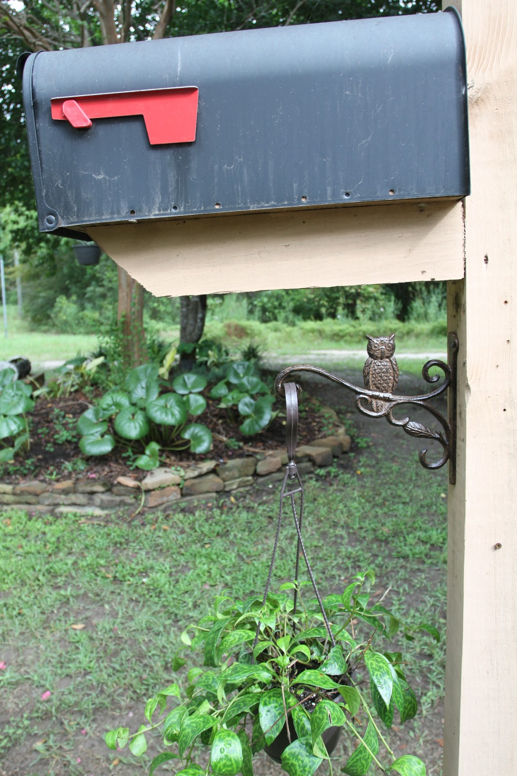 1-OWL PLANT HANGER,Hummingbird Feeder Holder,Garden Decor,All Occasion Gift,B-51