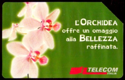 G 1085 C&C 3165 USED ORCHID FLORAL MESSAGES PHONE CARD