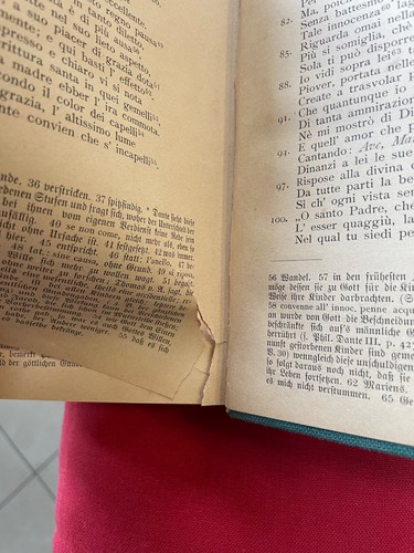 DANTE -LA DIVINA COMMEDIA in italiano commenti in tedesco -ZWEIBRUCKEN 1889 - Foto 19 di 21