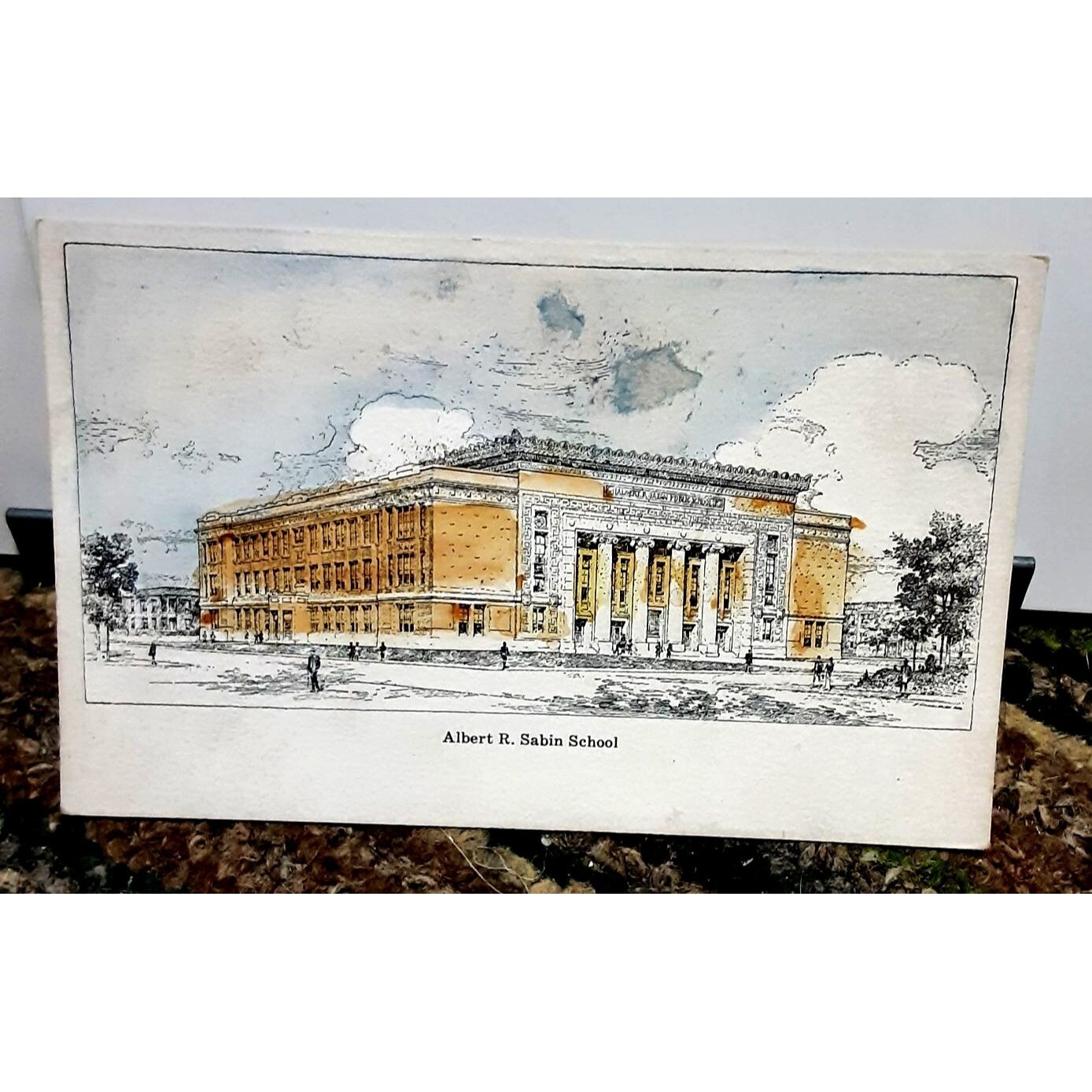 Vintage 1900s era Albert R Sabin School Chicago Illinois Post Card eBay