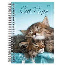 2026 Weekly Monthly Planner 6" X 9" - Cat Naps Engagement Calendar