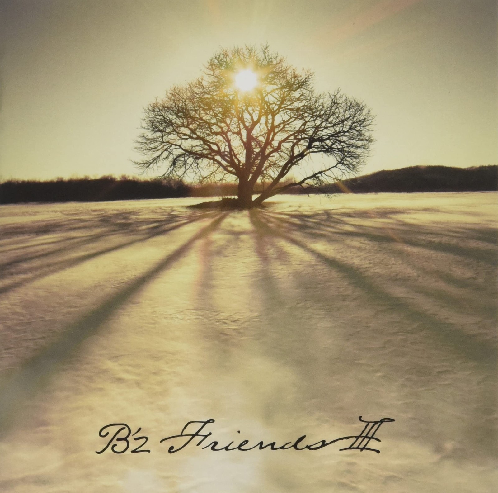 B'z FRIENDS III Standard Edition From Japan CD 7tracks
