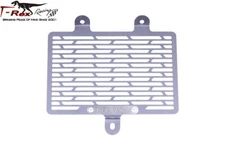 T-Rex Racing  2024 BMW R 12 / R 12 nineT Radiator Guards