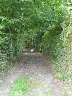 Foto 12x8 Trenseweg in Combe Wood Roborough Karten unterscheiden sich ob t c2016
