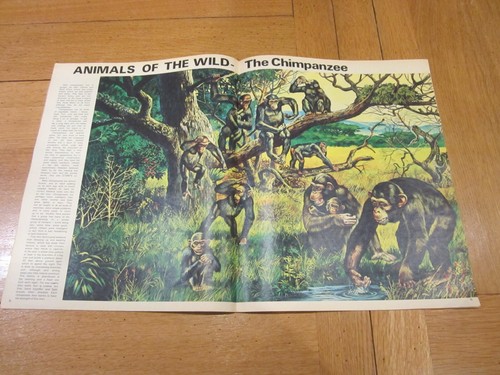 TELL ME WHY Comic - No 75 - Date 31/01/1970 - UK PAPER COMIC - Picture 4 of 5
