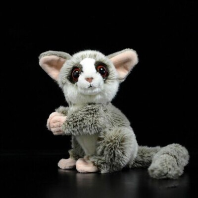 Cute Northern Lesser Galago Soft Monkey Galago Senegalensis Realistic Cuddly Toy