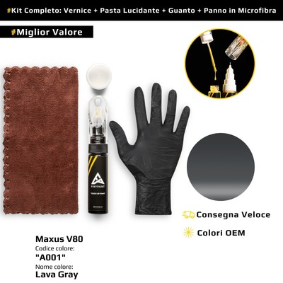Touch Up Paint for Maxus V80 Kit A001 Lava Gray