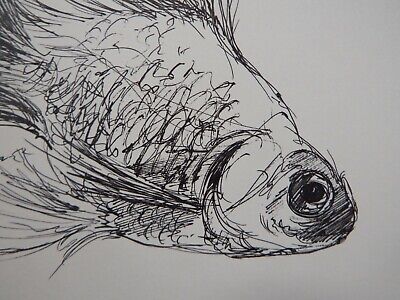 Original Pen & Ink fish drawing sketch of a goldfish on ivory