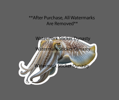 Cuttlefish Sticker Waterproof Decal Animal Ocean Beach Wildlife Gift NEW