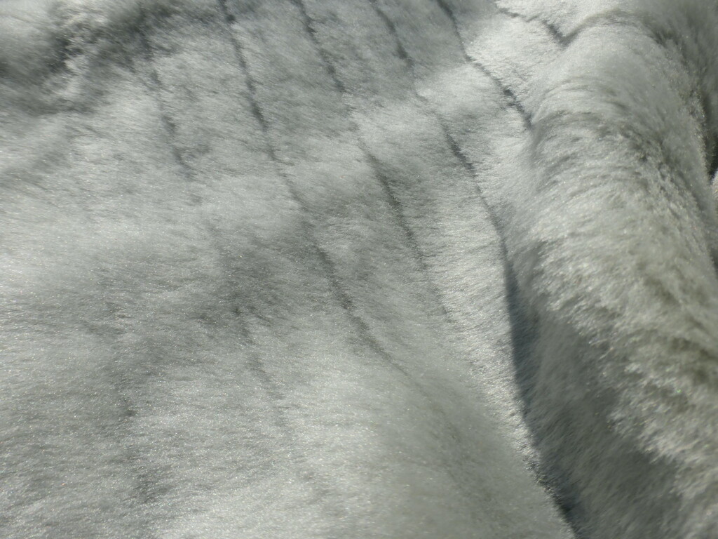 Bild 6 von 7