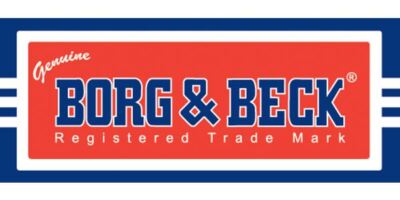 Borg & Beck BFA2393 Filtro Abitacolo Standard – Sostituzione Auto (Altezza 40mm, Lunghezza 331mm)
