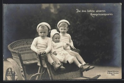 The Sons of the Crown Prince Couple on a Basket Carriage, Postcard 