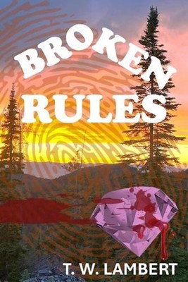 Broken Rules by Terry W. Lambert Paperback Book