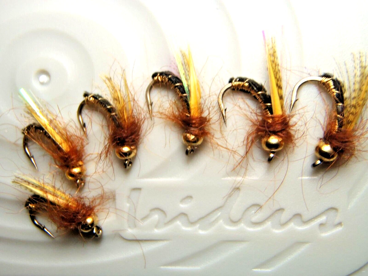 1 Dozzina IF19-6 Hotspot Czech Nymphs - Mosche Da Pesca (Taglie Disponibili)