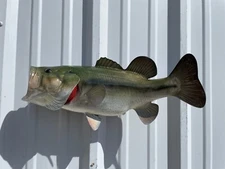 19" Largemouth Bass Two Sided Fish Mount Replica - Quick Production