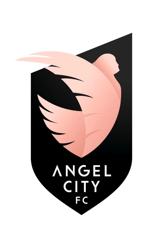 Angel City FC 4 Inch NWSL Color Die-Cut Decal Sticker *Free Shipping