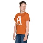 Bild 9 von 33