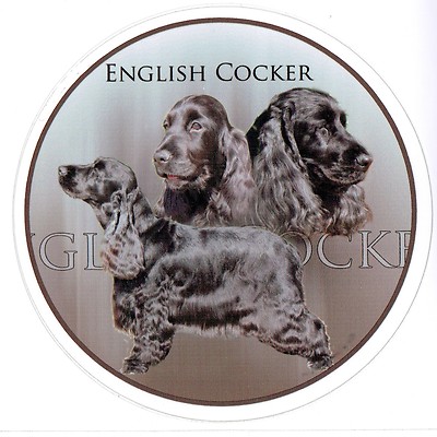 Design Aufkleber English Cocker Spaniel schwarz 15 cm Englischer Autoaufkleber