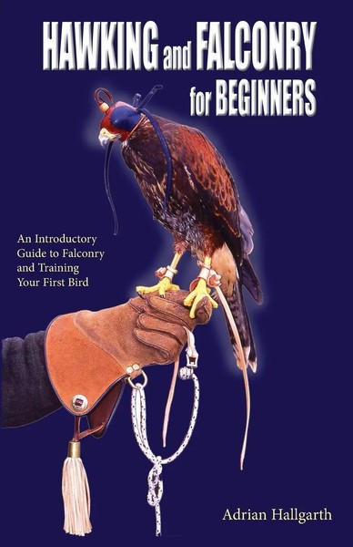 Hawking And Falconry For Begginers Adrian Hallgarth Taschenbuch Englisch 2017-image
