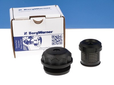 BORGWARNER Filtersatz DS120359 Haldex Kupplung Gen I 02D525558 AUDI SKODA VW