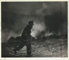 1995 Press Photo A fireman at the Olympia Boulevard brush fire - sia07698