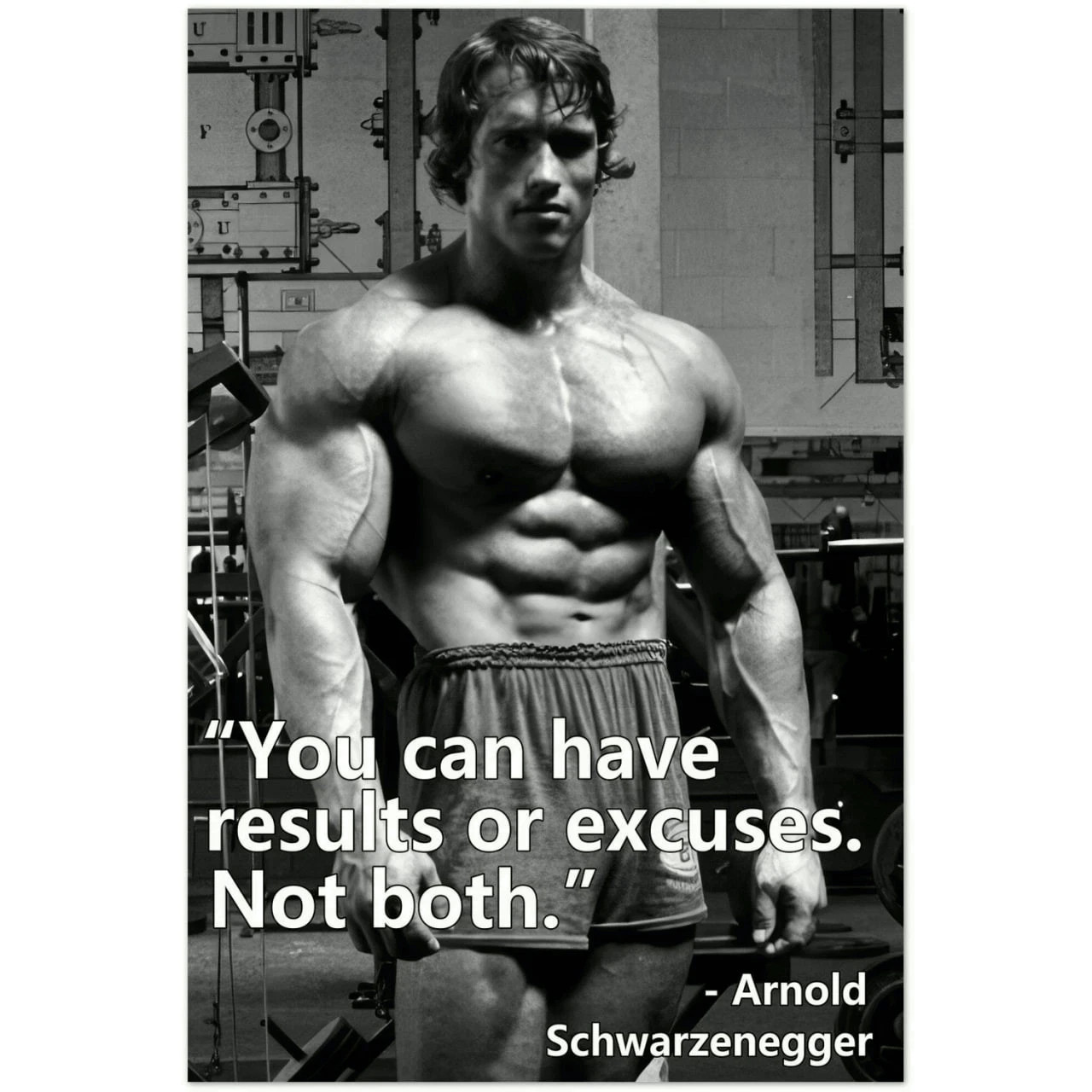 Arnold Schwarzenegger Gym Motivation Quote Poster Classic Fitness 1975