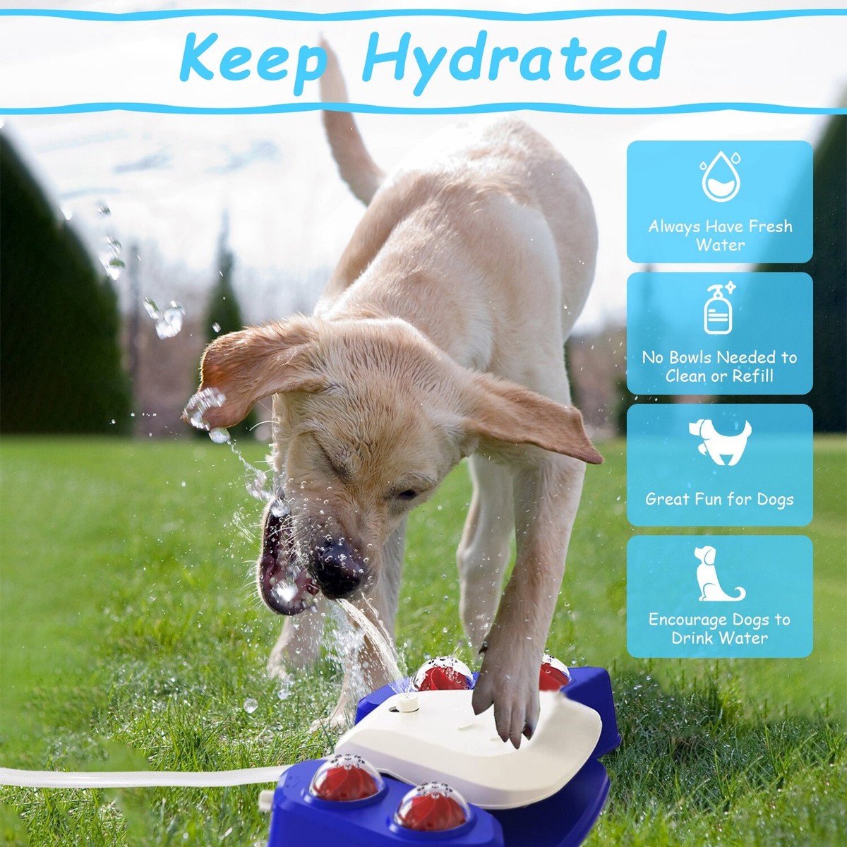 Dog Sprinkler Heavy Duty Outdoor Dog Water Fountain Step On, Paw