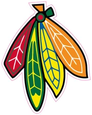 Chicago Blackhawks Hockey Vinyl Decal Sticker Car Truck Bumper Laptop Tumbler