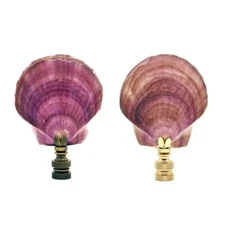 Lamp Finial-CALICO SCALLOP Shell w/ Polished or Antique Brass Base (1-PC.)