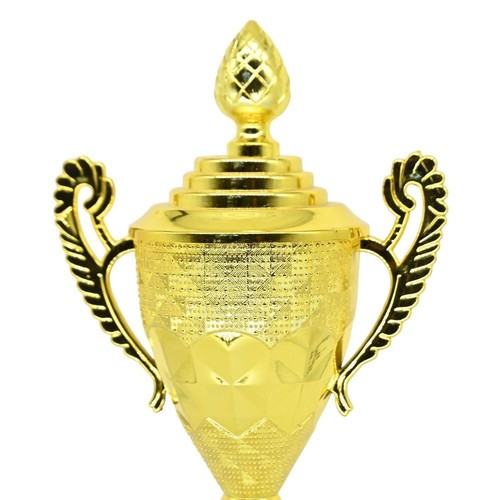 24.5/27.5/33.5cm Metal Trophy Universal Pentagram Trophy Children Award Prize - Picture 7 of 10