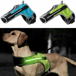 luminous dog harness