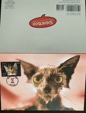 HNLP Hideaki Nakano 3670 Cat Greeting Card Drink Responsibility on Birthday #11