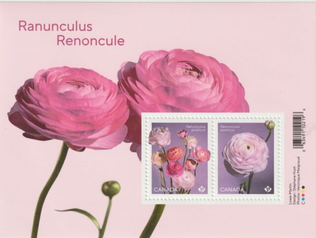 Canada 2023 Souvenir Sheet Ranunculus - MNH